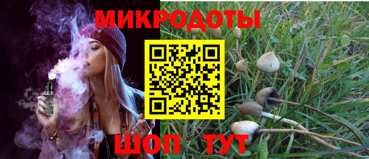 Надым  Псилоцибиновые грибы мухоморы  Вход с VPN 
